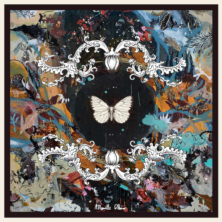 BUTTERFLY | Large Silk Scarf